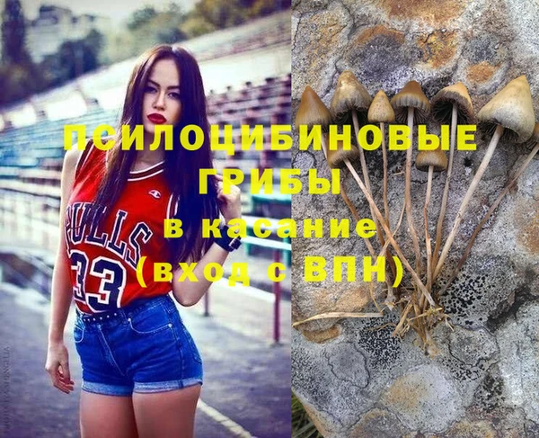 дмт Алексин