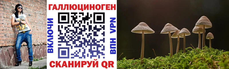 купить  цена  Ладушкин  Галлюциногенные грибы Psilocybe 
